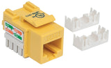 Embase CAT6 pour découpe standard Image 3