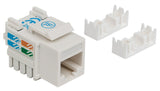 Embase CAT6 pour découpe standard Image 3