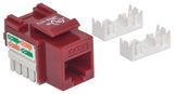 Embase CAT6 pour découpe standard Image 3