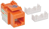 Embase CAT6 pour découpe standard Image 3